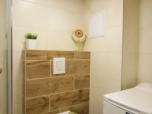 Pronájem bytu 1+kk, Brno, Koliště, 20 m2