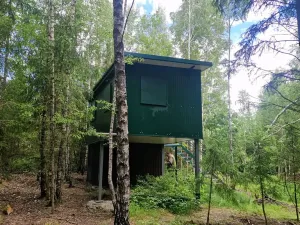 Prodej lesa, Hlubočky, 6680 m2