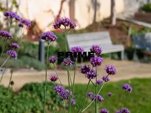 Pronájem bytu 2+kk, Praha - Smíchov, Holečkova, 71 m2