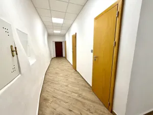 Pronájem skladu, Praha - Malá Strana, Malostranské náměstí, 210 m2