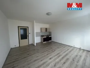 Pronájem bytu 1+kk, Ústí nad Labem - Krásné Březno, Žežická, 35 m2