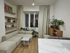 Pronájem bytu 2+kk, Praha - Žižkov, Žerotínova, 45 m2