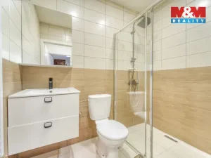 Prodej činžovního domu, Chotěšov, Starý mlýn, 353 m2