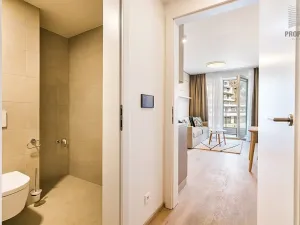 Pronájem bytu 1+kk, Brno, Bystrcká, 30 m2