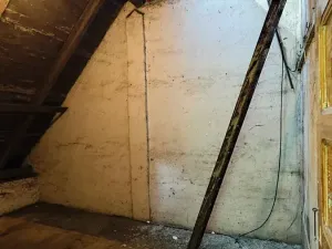 Prodej komerční nemovitosti, Ostrava, 192 m2