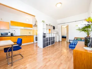 Pronájem bytu 2+kk, Ústí nad Labem - Střekov, Děčínská, 61 m2