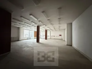Prodej obchodního prostoru, Chomutov, Zahradní, 14070 m2
