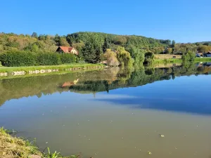 Prodej pozemku pro bydlení, Osvětimany, 1645 m2