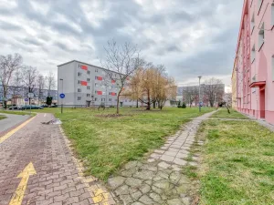 Pronájem bytu 2+1, Ostrava - Hrabůvka, Provaznická, 56 m2