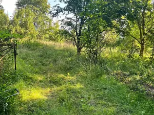 Prodej zahrady, Bludov, 1777 m2