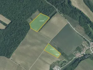 Prodej sadu/vinice, Bulhary, 82048 m2