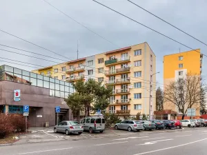 Prodej bytu 3+1, České Budějovice, Lidická tř., 72 m2