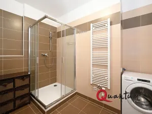 Pronájem bytu 1+kk, Praha - Žižkov, Olgy Havlové, 38 m2