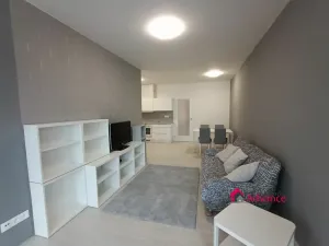 Pronájem bytu 1+kk, Ostrava, Důlní, 54 m2