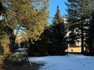 Prodej bytu 2+1, Olomouc, Jiříčkova, 52 m2