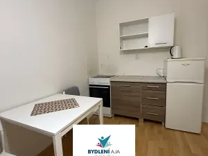 Pronájem bytu 1+kk, Teplice, 14. října, 25 m2