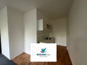 Pronájem bytu 1+kk, Teplice, Krušnohorská, 32 m2