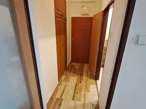 Pronájem bytu 2+kk, Praha - Holešovice, Argentinská, 43 m2