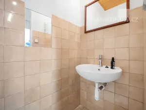 Prodej obchodního prostoru, Praha - Vršovice, Kazašská, 32 m2