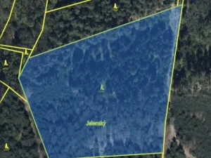 Prodej lesa, Veliny, 16002 m2