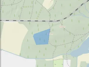 Prodej lesa, Veliny, 16002 m2