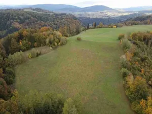 Prodej pole, Hanušovice - Hynčice nad Moravou, 53256 m2