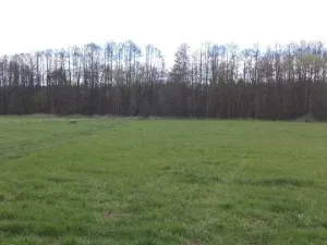 Prodej pole, Tachov, 55666 m2