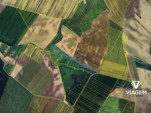 Prodej podílu pole, Bořetice, 4967 m2