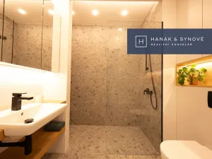 Pronájem bytu 1+kk, Brno, Koliště, 22 m2