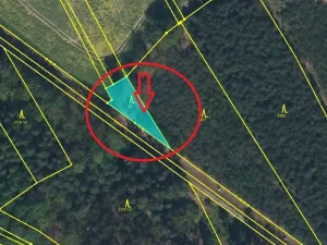 Prodej lesa, Bolehošť, 3558 m2