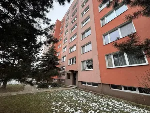 Pronájem bytu 3+1, Olomouc, Přichystalova, 65 m2
