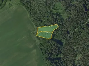 Prodej louky, Vavřinec, 16163 m2
