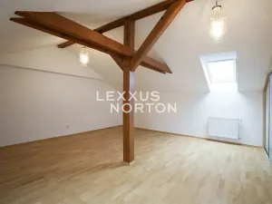 Pronájem bytu 4+kk, Praha - Vinohrady, Havlíčkovy sady, 170 m2