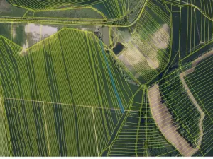 Prodej pole, Dambořice, 12804 m2