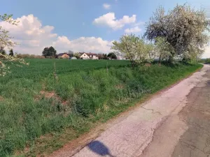 Prodej komerčního pozemku, Cerekvice nad Bystřicí, 2533 m2