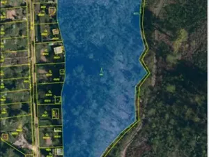 Prodej podílu lesa, Jihlava, 11793 m2