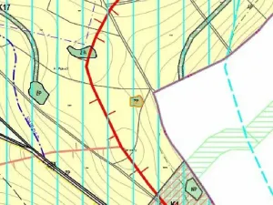 Dražba louky, Krchleby, 7831 m2