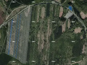 Prodej lesa, Komňa, 22428 m2