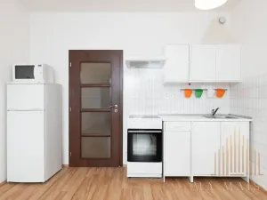 Pronájem bytu 1+kk, Praha - Vysočany, Freyova, 33 m2