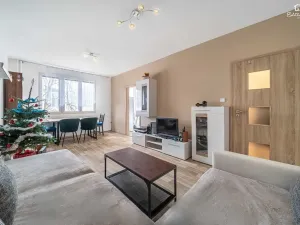 Prodej bytu 2+1, Plzeň, Tichá, 60 m2