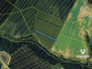 Prodej pole, Určice, 1288 m2