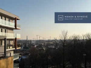 Pronájem bytu 1+kk, Brno, Provazníkova, 48 m2