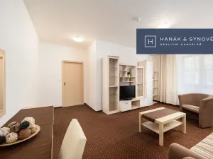 Pronájem bytu 2+1, Brno, Anenská, 50 m2