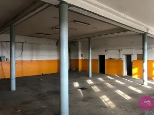 Pronájem skladu, Grygov, Blatecká, 217 m2