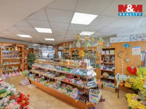 Pronájem obchodního prostoru, Železná Ruda, K Samotám, 140 m2