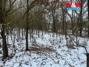 Prodej pole, Písek - Hradiště, 5135 m2