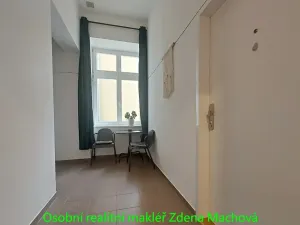 Pronájem bytu 2+kk, Praha - Vinohrady, Lublaňská, 56 m2