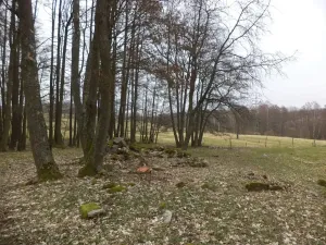 Dražba pozemku pro bydlení, Dolní Nivy, 1221 m2