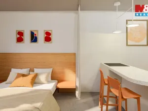 Prodej bytu 1+kk, Ostrava - Zábřeh, Čujkovova, 28 m2