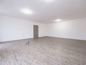 Prodej rodinného domu, Bělá pod Bezdězem, Jarní, 174 m2
